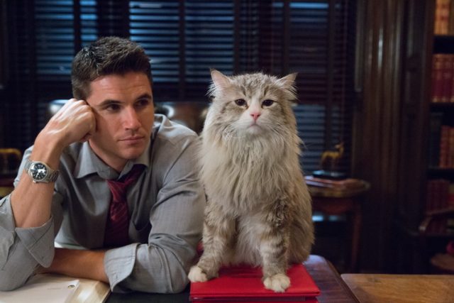M118 Robbie Amell and Mr. Fuzzypants tar in EuropaCorp's "NINE LIVES? Photo Credit: Takashi Seida ?2016 EuropaCorp