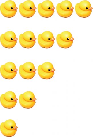 duck_all