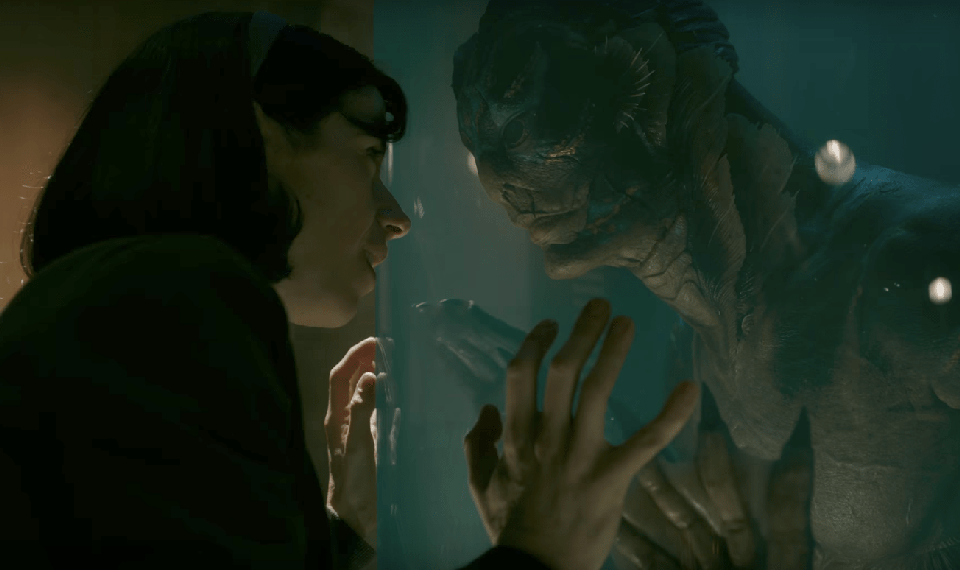 THE SHAPE OF WATER