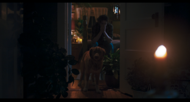 Screenshot 2025-12-25 at 02.58.22