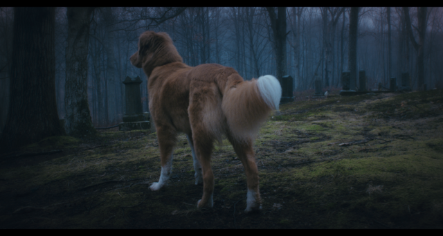 Screenshot 2025-12-25 at 02.58.33