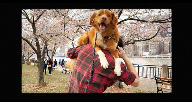 Screenshot 2025-12-25 at 02.58.58